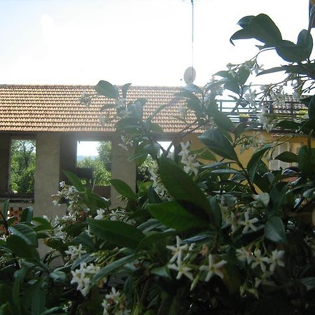 Bed and Breakfast Fattoria Del Pino Orta San Giulio Exteriér fotografie
