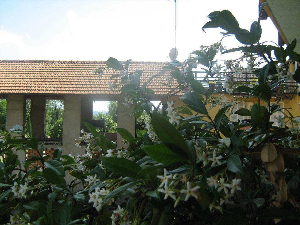 Bed and Breakfast Fattoria Del Pino Orta San Giulio Exteriér fotografie