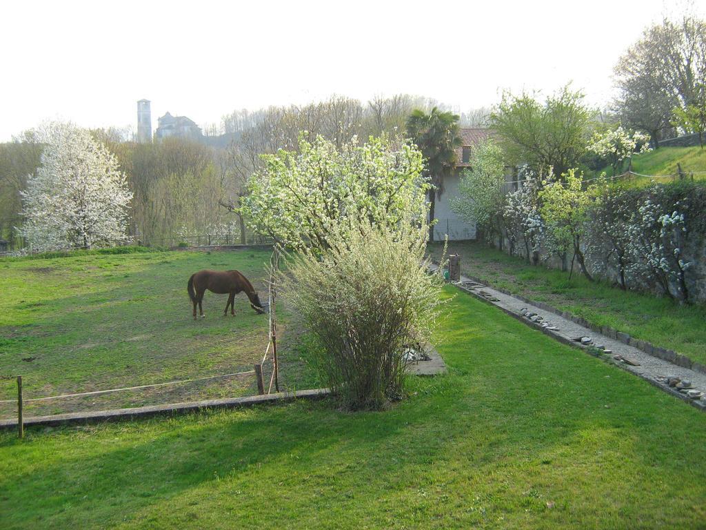 Bed and Breakfast Fattoria Del Pino Orta San Giulio Exteriér fotografie